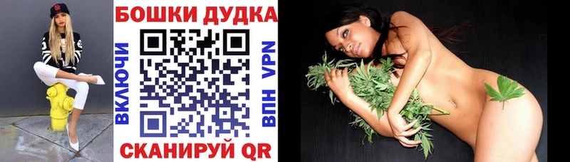 наркотики  Балей  МАРИХУАНА сатива 